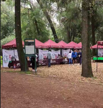 Piden a SEDEMA intervenir en Los Viveros de Coyoacán ante deterioro y problemas para visitantes