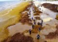 SARGAZO MORTAL EN QUINTANA ROO