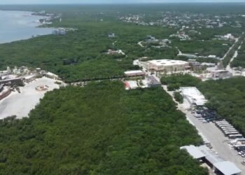 20,000 MDP VS CUIDADO AMBIENTAL
