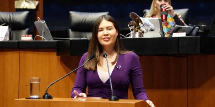 PIDE LICENCIA LA SENADORA ANAHÍ