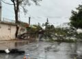 ESTRAGOS POR LAS LLUVIAS EN CHETUMAL