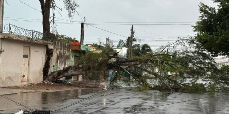 ESTRAGOS POR LAS LLUVIAS EN CHETUMAL