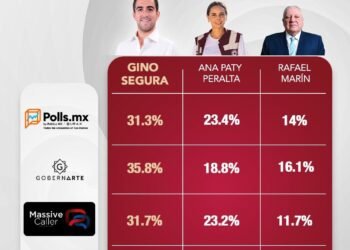 GINO VA ARRIBA