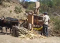 En Oaxaca, trabajadores “viven” con 95 pesos al día