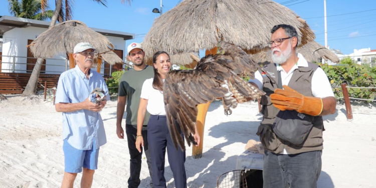 PROMUEVE ANA PATY PERALTA ATENCIÓN PERMANENTE A FAUNA SILVESTRE