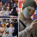 BTS sorprenden a asistentes al acudir a la Lucha Libre en la Arena México
