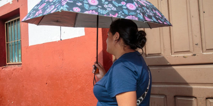 Alcalde de Santa María Chilchotla es detenido por tentativa de homicidio