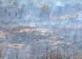 ESCONDEN INCENDIO FORESTAL