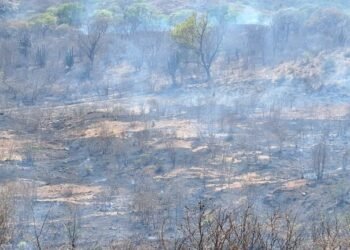 ESCONDEN INCENDIO FORESTAL