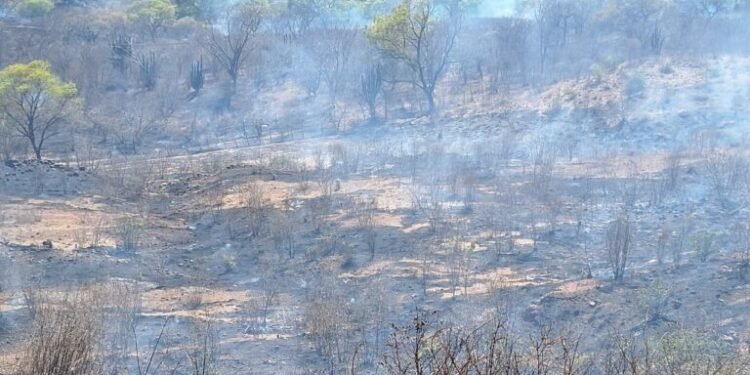 ESCONDEN INCENDIO FORESTAL