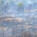 ESCONDEN INCENDIO FORESTAL