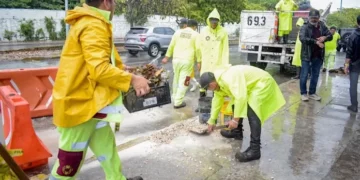 ANA PATY ACTIVA OPERATIVO DE LIMPIEZA EN CANCÚN