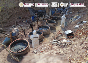 Duro golpe al narco; Desmantelan 5 laboratorios con valor de más de 650 millones de pesos
