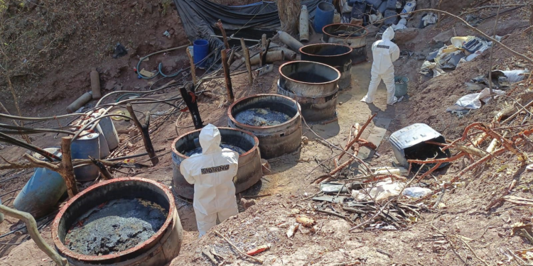 Duro golpe al narco; Desmantelan 5 laboratorios con valor de más de 650 millones de pesos