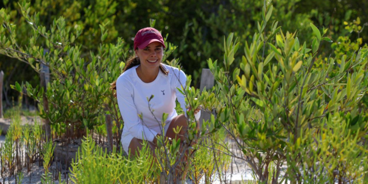 UNE ESFUERZOS ANA PATY PERALTA PARA CONSERVACIÓN Y PROTECCIÓN DE MANGLARES EN LAGUNA NICHUPTÉ