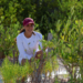 UNE ESFUERZOS ANA PATY PERALTA PARA CONSERVACIÓN Y PROTECCIÓN DE MANGLARES EN LAGUNA NICHUPTÉ