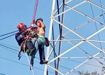 Tatiana Clouthier renunció para ir a “trabajar” a NL, afirma Sheinbaum