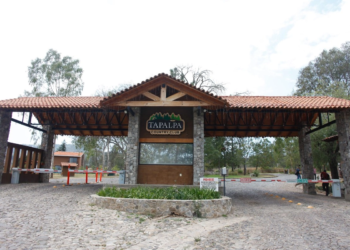 Autoridades localizan a 28 mujeres, presuntas víctimas de trata de personas, durante cateo a un club nocturno en Othón P. Blanco