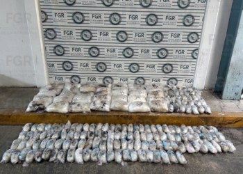 Interceptan en Sonora 145 kilos de metanfetamina enviados por paquetería