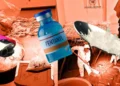Jefe de la DEA anuncia investigación independiente sobre distribución de fentanilo en Nuevo México