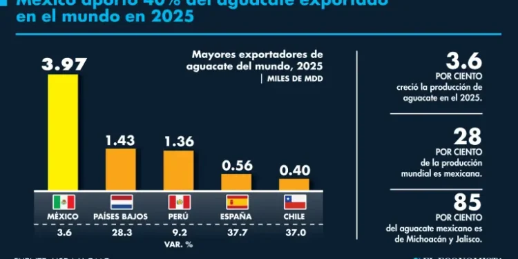 Exportaciones de aguacate batieron récord en 2025; México aportó 40% de la cuota mundial