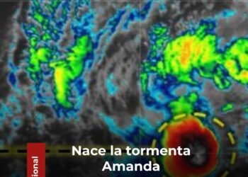 NACE AMANDA
