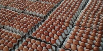 ¿POR QUÉ EL HUEVO BAJÓ DE PRECIO EN MÉXICO?