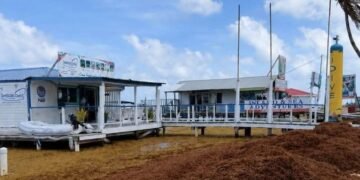 ¿Alerta roja en Belize por sargazo?