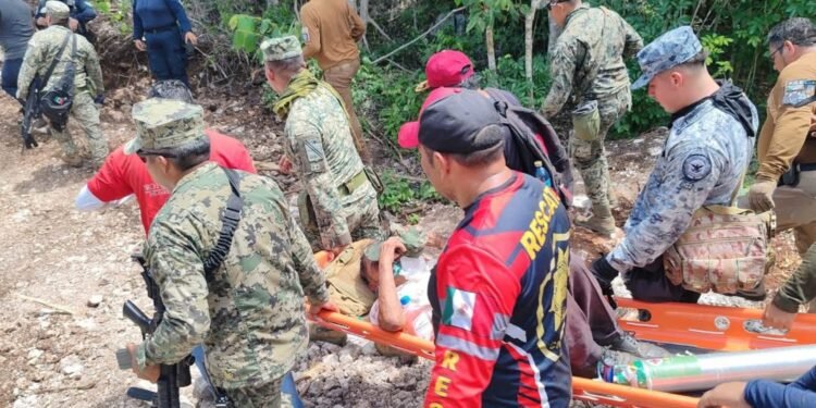 Localizado en la selva