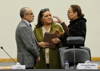 INE define hoy registro de cuatro nuevos partidos