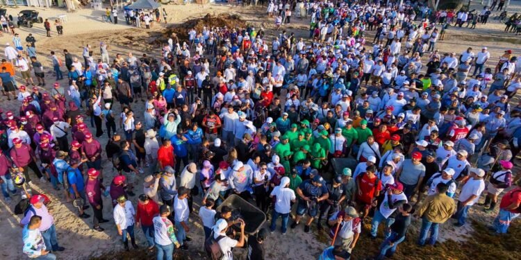 GUERRA CONTRA EL SARGAZO EN PDC