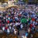 GUERRA CONTRA EL SARGAZO EN PDC