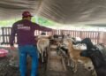 En PDC apoyan actividad pecuaria