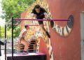 Más de 50 atletas participaron en el 7.º Encuentro de Parkour y Cultura Urbana “Xibalba”