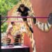 Más de 50 atletas participaron en el 7.º Encuentro de Parkour y Cultura Urbana “Xibalba”