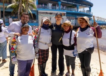 Levantan sargazo en Playa del Carmen