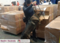 ANAM y Semar aseguran 1.2 millones de cigarrillos ilícitos en el AICM; provenían de Taiwán