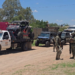 Interceptan en Sonora 145 kilos de metanfetamina enviados por paquetería