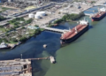 Por impacto ambiental, Inmobiliaria Alux 33 pierde licencia de construcción en Quintana Roo