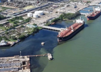 Por impacto ambiental, Inmobiliaria Alux 33 pierde licencia de construcción en Quintana Roo