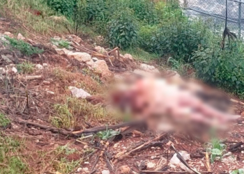 Localizan cuerpo de mujer con huellas de tortura y abuso en Zinacantán, Chiapas