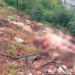 Localizan cuerpo de mujer con huellas de tortura y abuso en Zinacantán, Chiapas