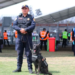 Con Lealtad, Disciplina y Servicio a la ciudadanía, “La Unidad Canina” de la Policía Bancaria e Industrial (PBI) cumple 29 años