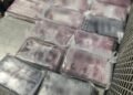 11 mochilas con cocaína