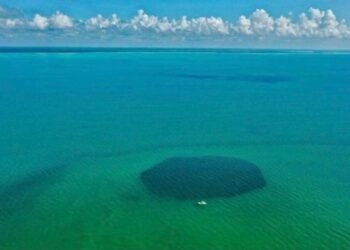 Descubren sietes pozas en la Bahía de Chetumal