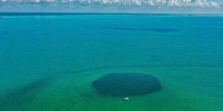 Descubren sietes pozas en la Bahía de Chetumal