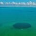 Descubren sietes pozas en la Bahía de Chetumal
