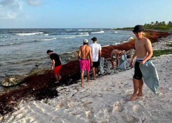 Turistas se suman a jornada de limpieza en playas de Mahahual