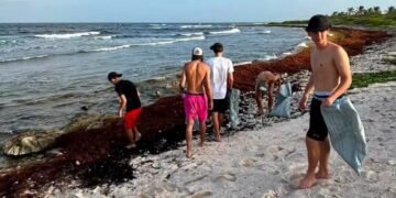 Turistas se suman a jornada de limpieza en playas de Mahahual