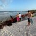 Turistas se suman a jornada de limpieza en playas de Mahahual